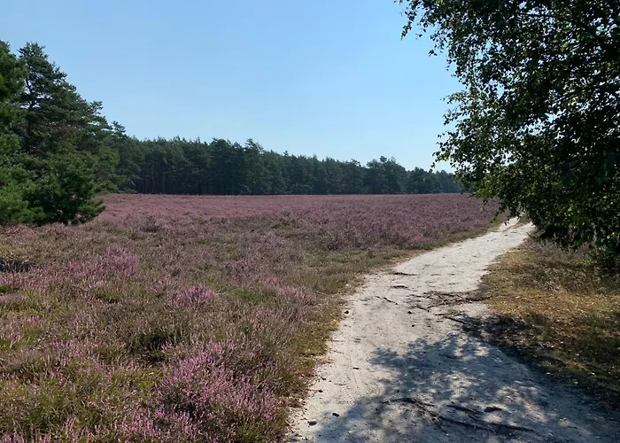 Wassermuehle Appartement Habighorst